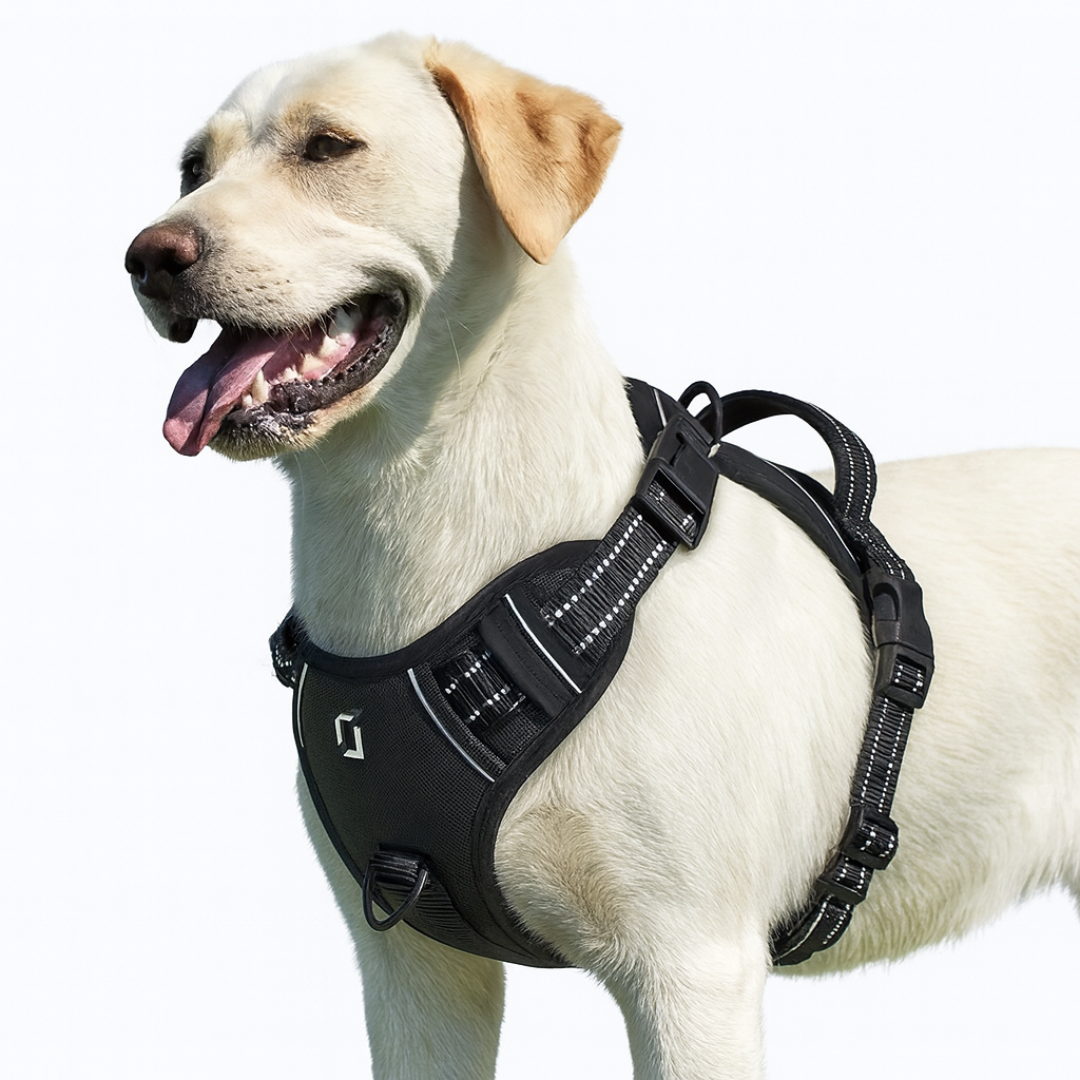 Arnés Antitirones Confort™