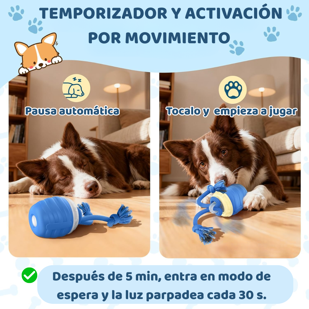 Nuvin™ Pelota Interactiva Profesional
