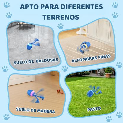 Nuvin™ Pelota Interactiva Profesional