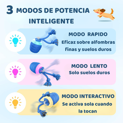 Nuvin™ Pelota Interactiva Profesional