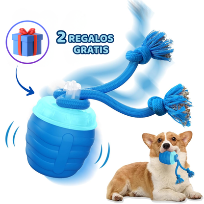 Nuvin™ Pelota Interactiva Profesional