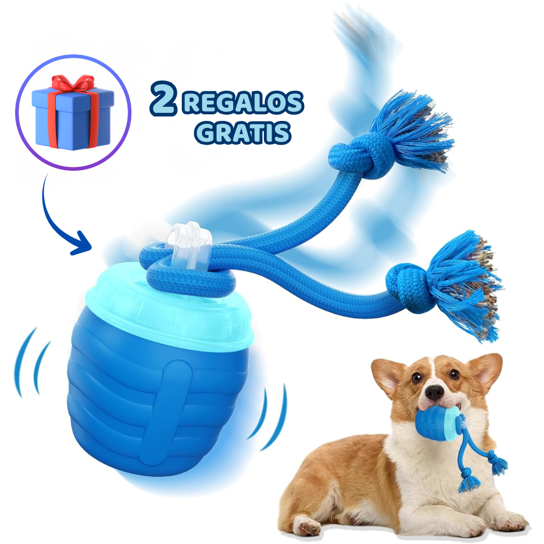 Nuvin™ Pelota Interactiva Profesional