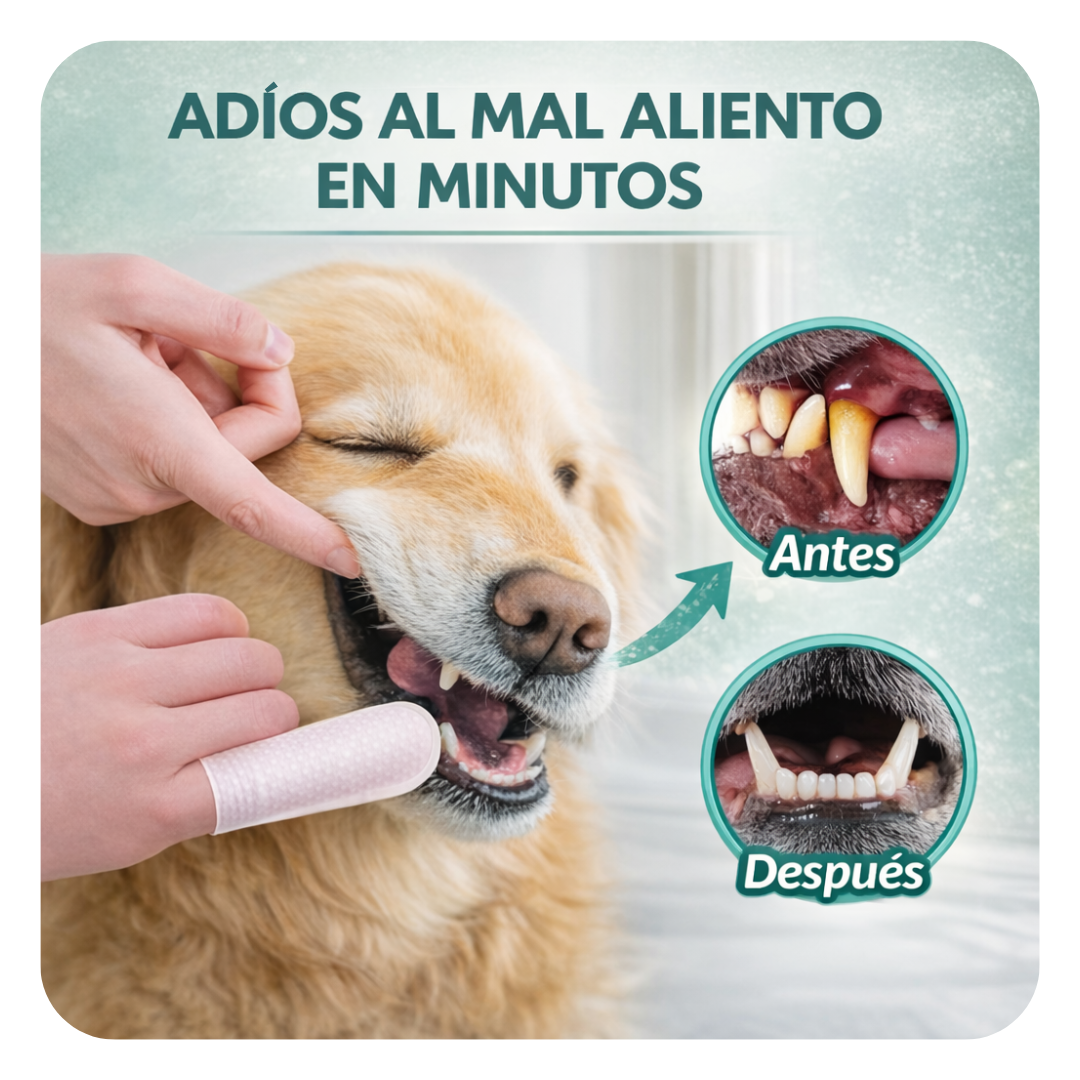 Toallitas Dentales Biteva™