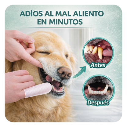 Toallitas Dentales Biteva™