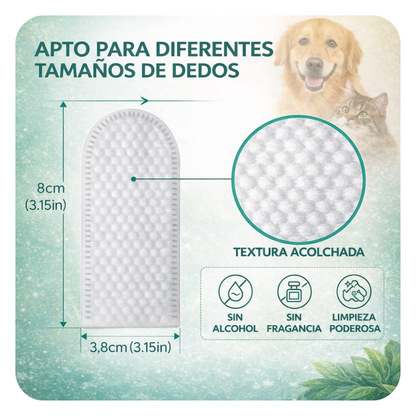 Toallitas Dentales Biteva™