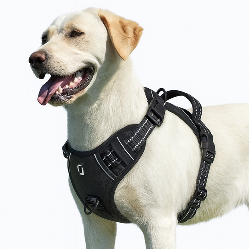 Arnés Antitirones Confort™